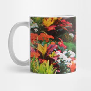 Colorful Indoor Gardens Mug